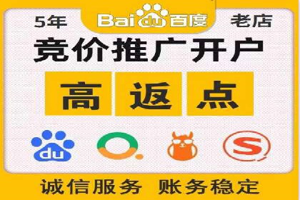 百度运营推广策略：成功案例解析
